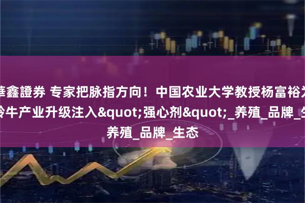 華鑫證券 专家把脉指方向！中国农业大学教授杨富裕为关岭牛产业升级注入"强心剂"_养殖_品牌_生态