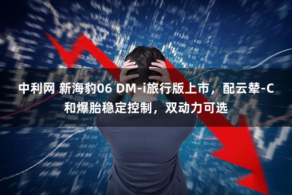 中利网 新海豹06 DM-i旅行版上市,配云辇-C和爆胎稳定控制,双动力可选