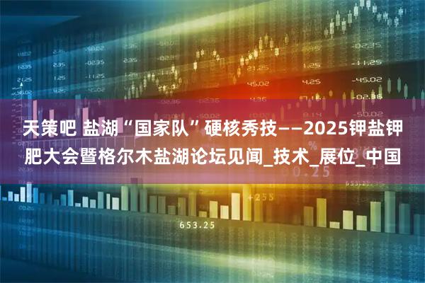 天策吧 盐湖“国家队”硬核秀技——2025钾盐钾肥大会暨格尔木盐湖论坛见闻_技术_展位_中国